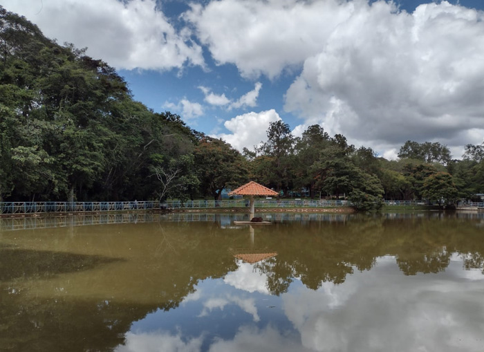imersao-carnaval-2023-parque-lago.jpg
